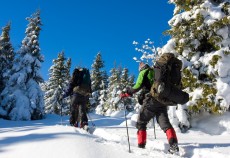Wintersport – Disziplinen für Jedermann?