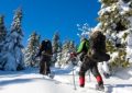 Wintersport – Disziplinen für Jedermann?