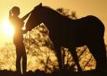 Fitness für Pferd und Reiter: Richtig Reiten lernen